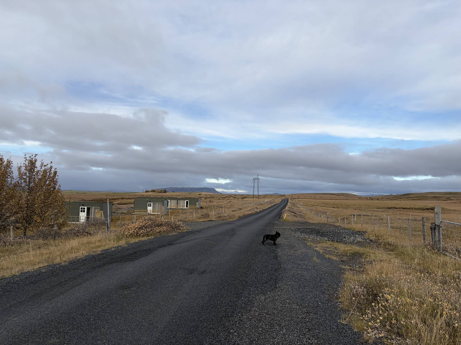 Sveitavegurinn heim að húsunum